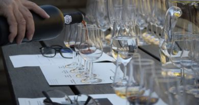 Wine Tips: Reminders For Your Foray Into Wine Tasting Wine Tips: Reminders For Your Foray Into Wine Tasting